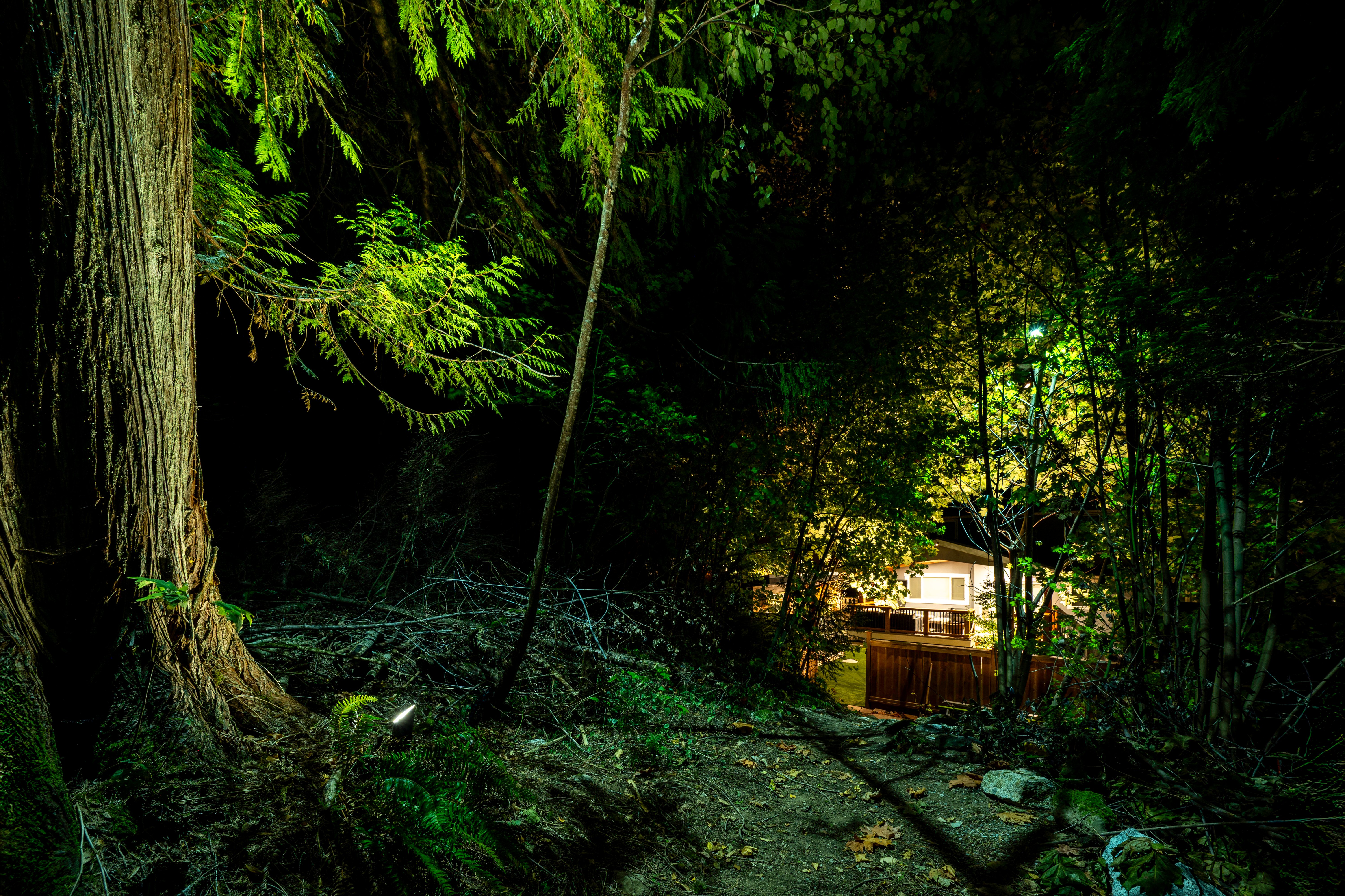 Bluebird Project – Landscape Lighting with Balance and Harmony - 10 after