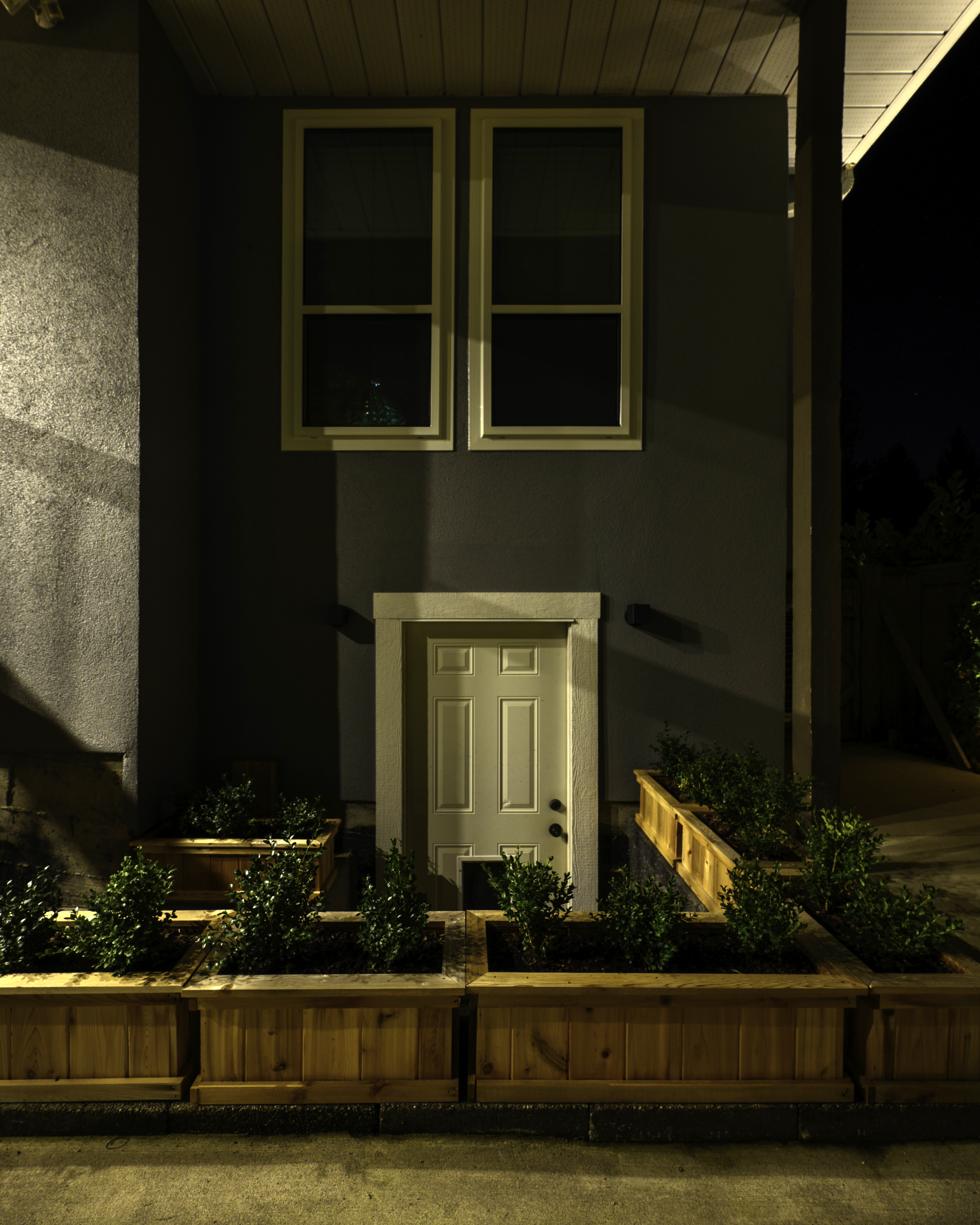 Bluebird Project – Landscape Lighting with Balance and Harmony - Japanese Maple & Forest Moonlighting