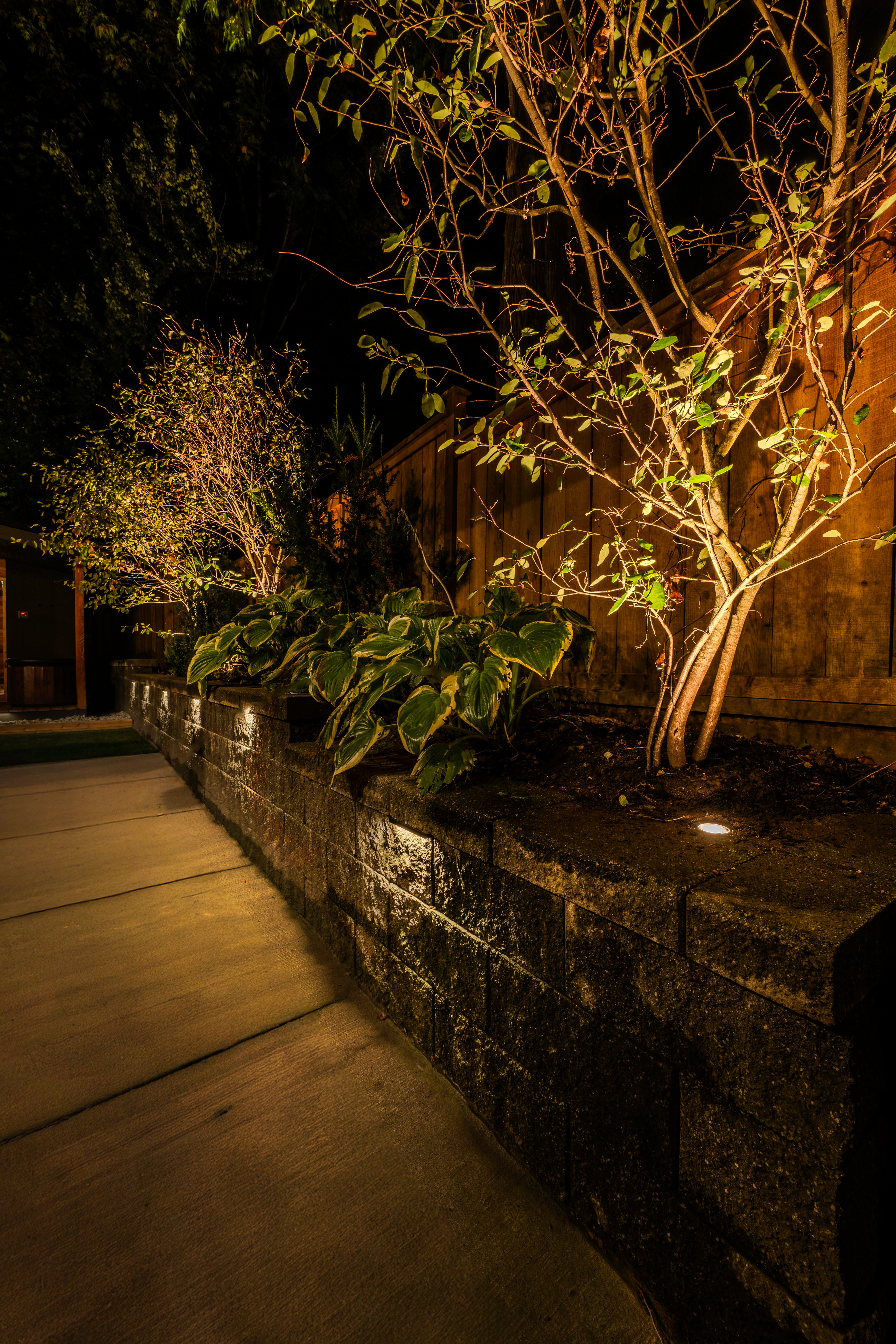 After - Bluebird Project – Landscape Lighting with Balance and Harmony