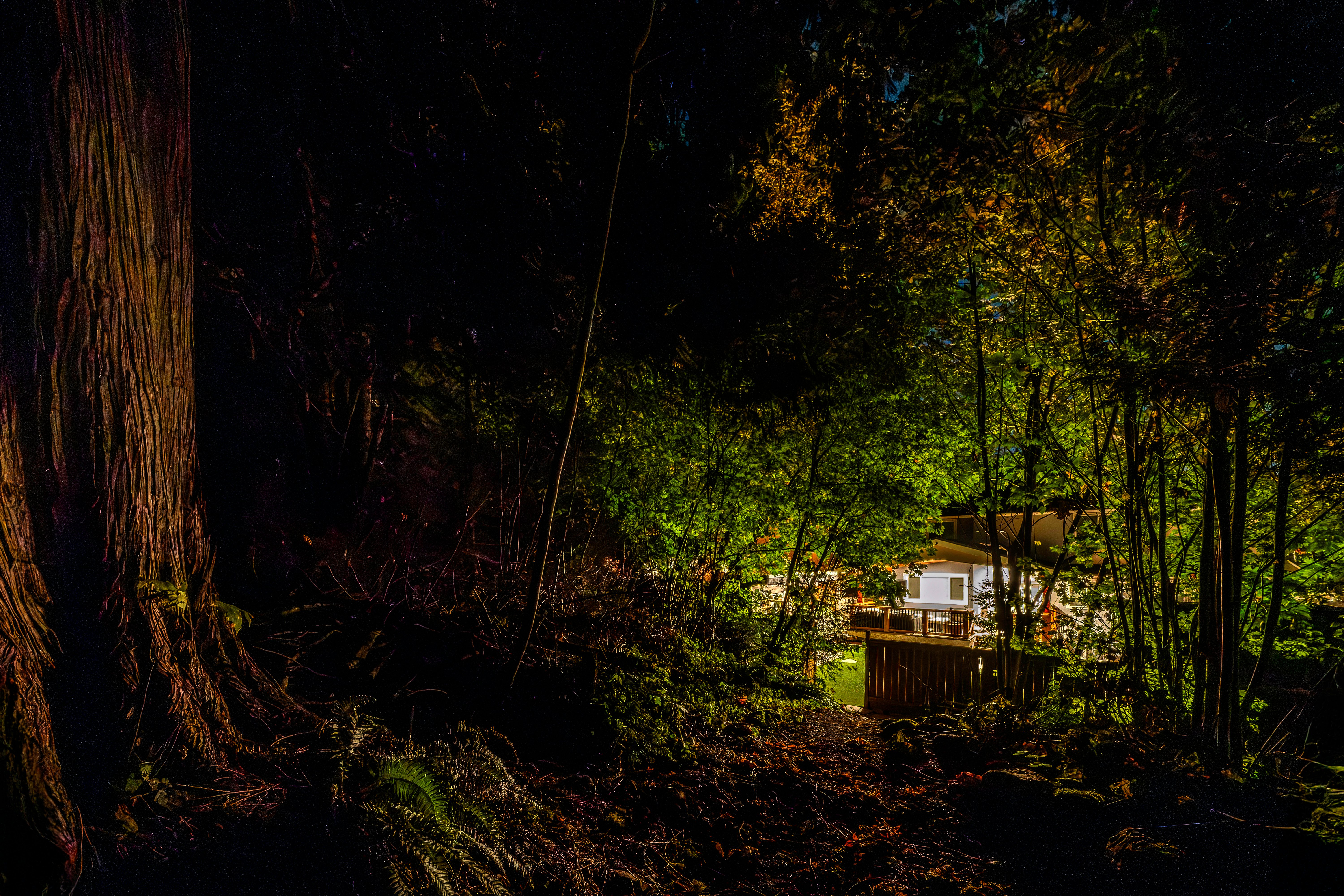 Before - Bluebird Project – Landscape Lighting with Balance and Harmony