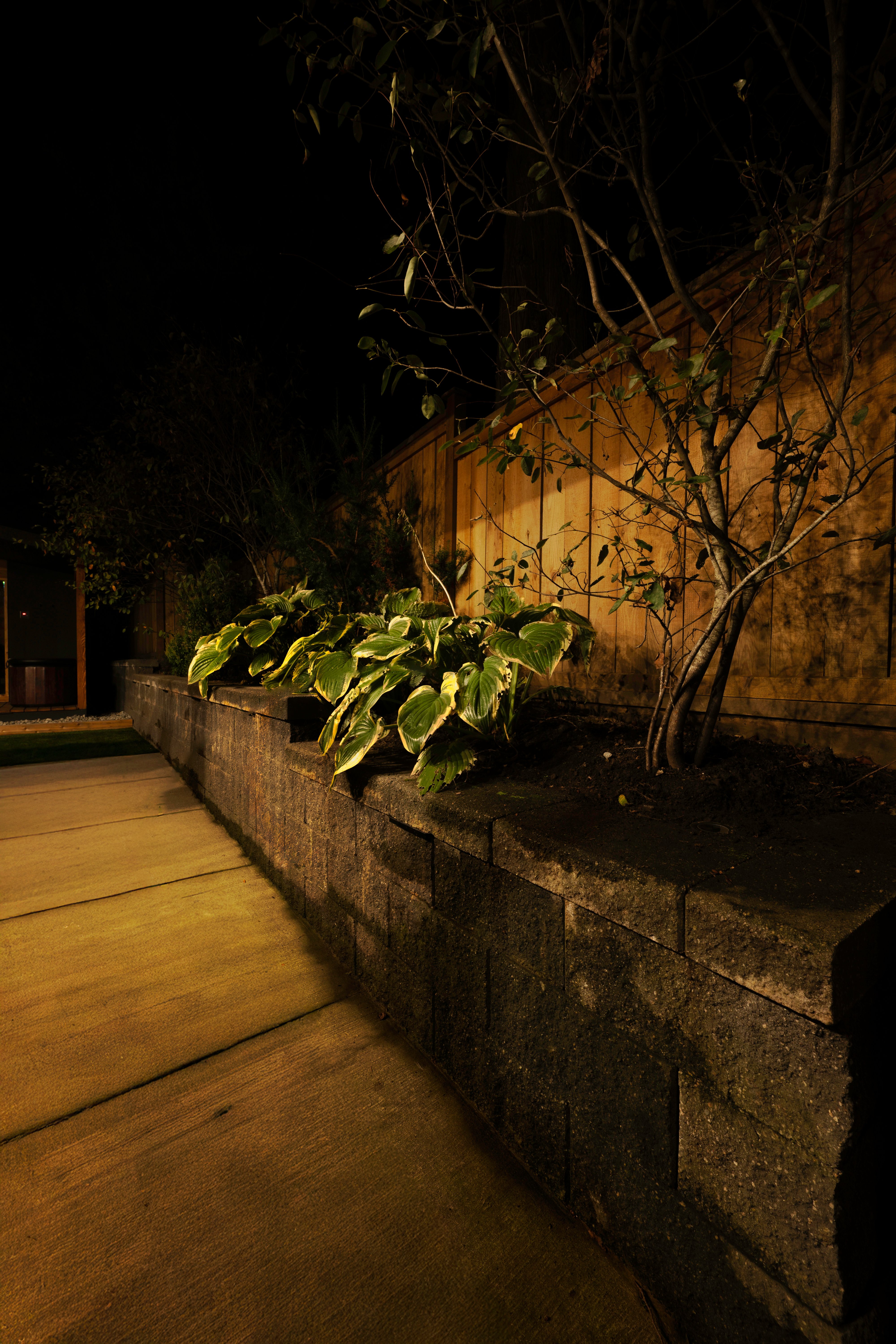 Before - Bluebird Project – Landscape Lighting with Balance and Harmony