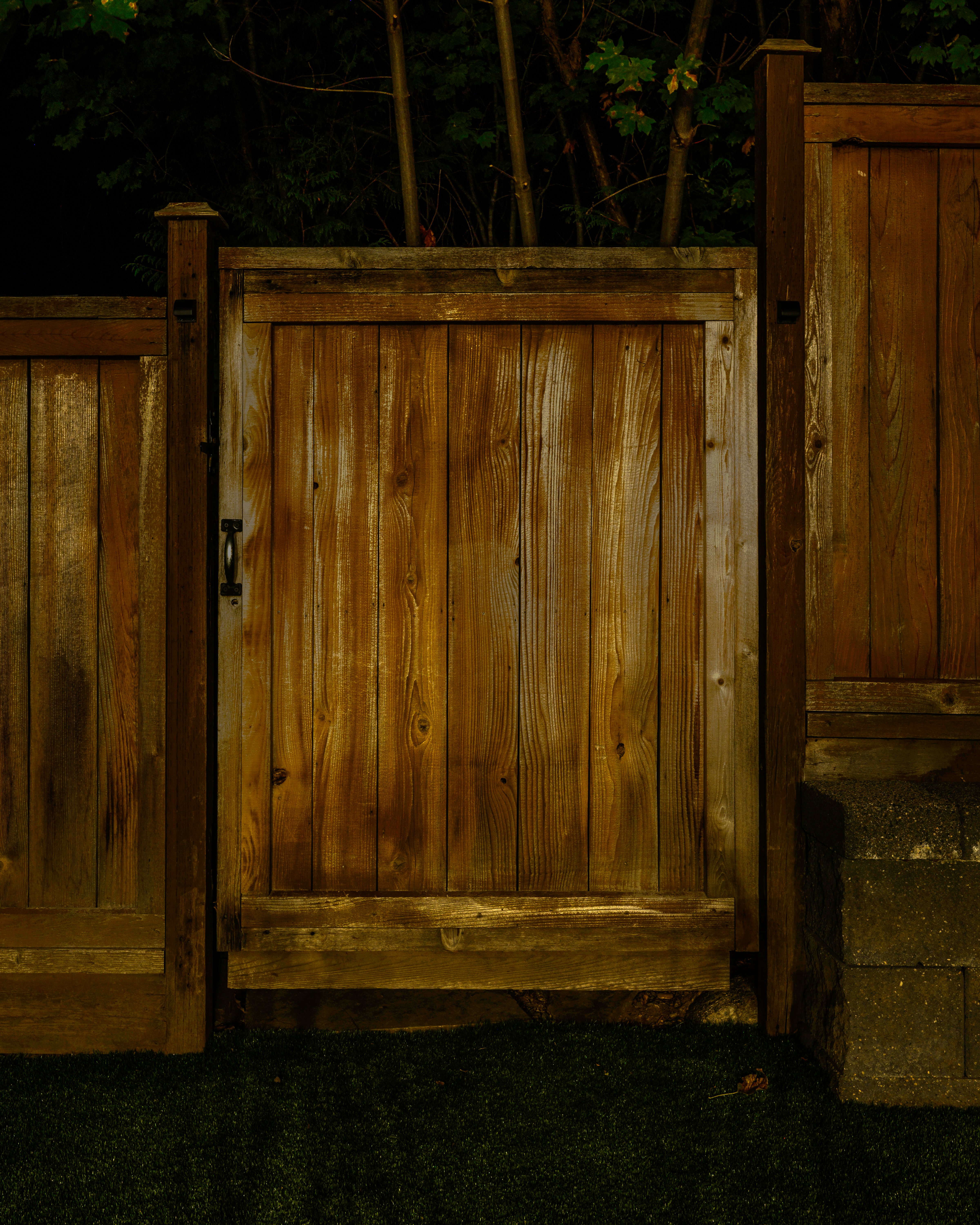 Before - Bluebird Project – Landscape Lighting with Balance and Harmony