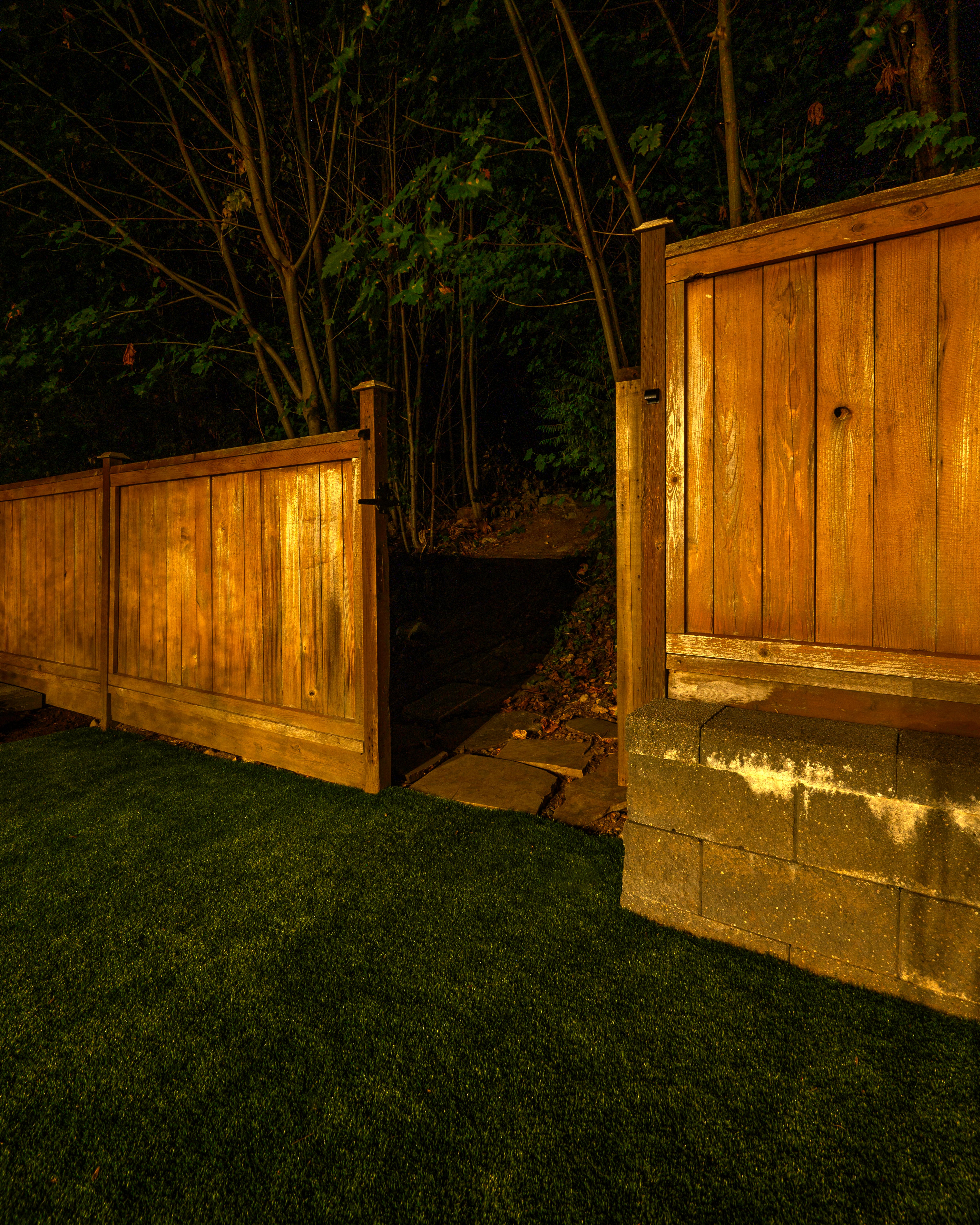 Before - Bluebird Project – Landscape Lighting with Balance and Harmony