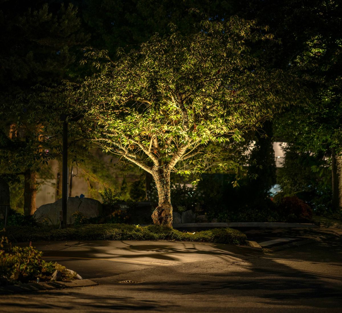 Complex Strata Lighting Project - 1 50