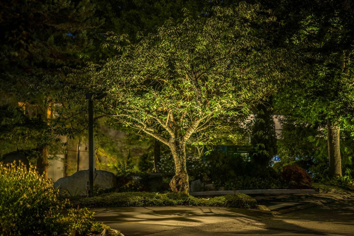 Complex Strata Lighting Project - 1 51