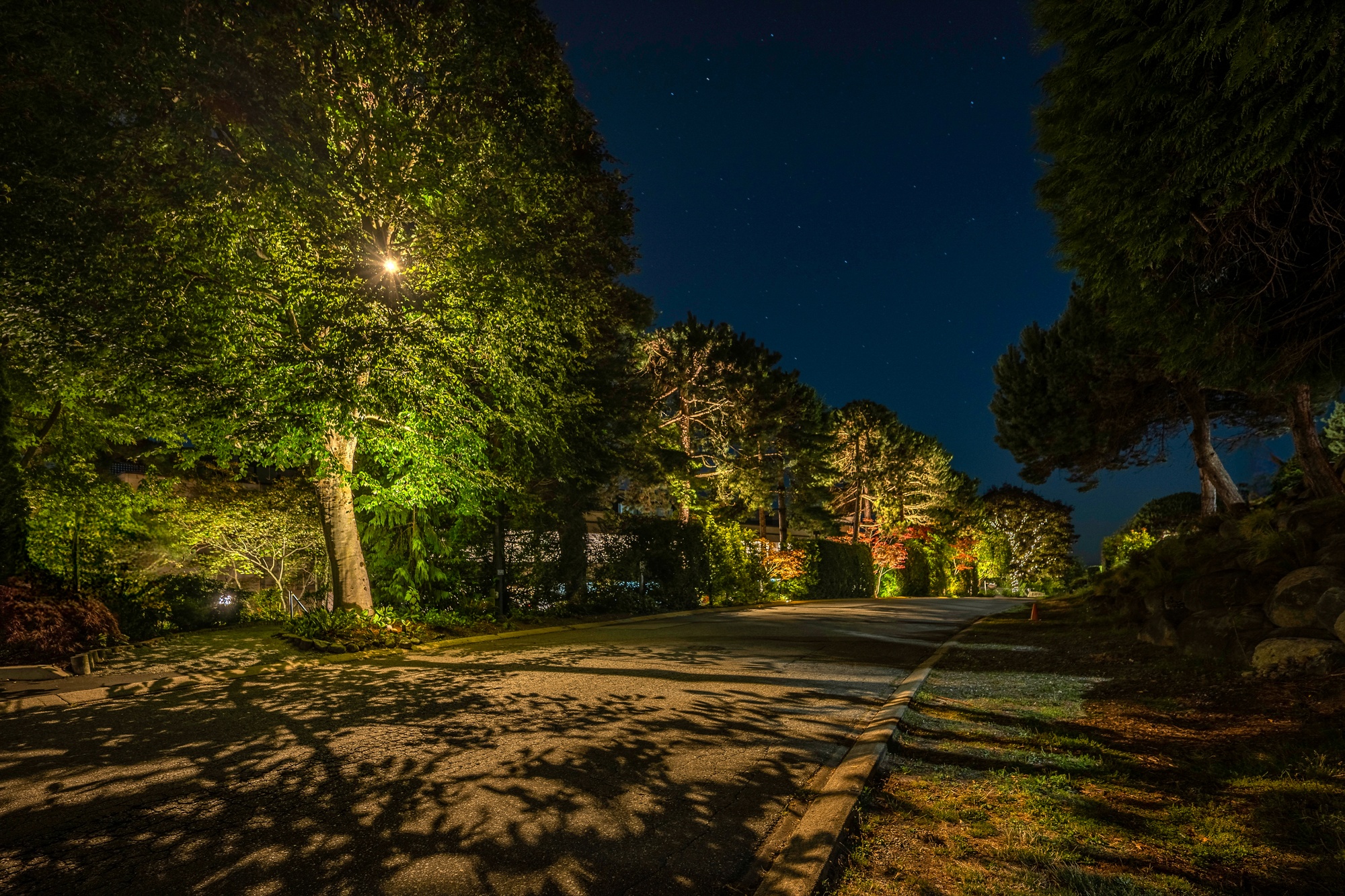 After - Strata Sign & Rock Wall Lighting – Common Area, Maple Ridge
