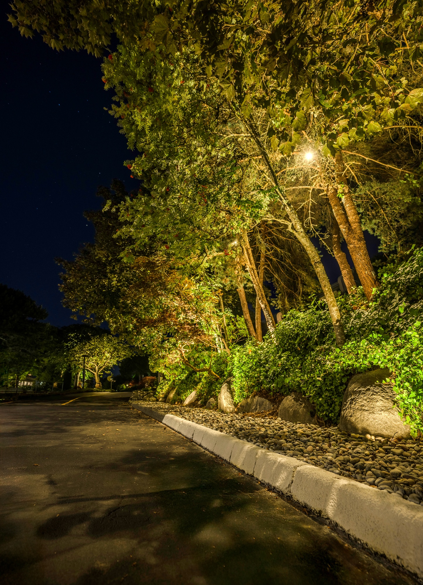 After - Strata Sign & Rock Wall Lighting – Common Area, Maple Ridge