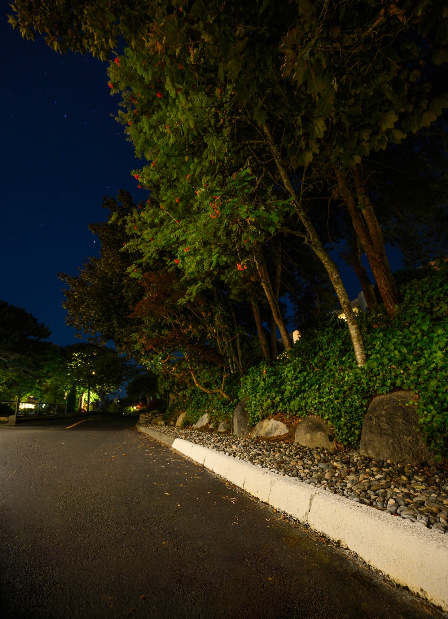 Before - Strata Sign & Rock Wall Lighting – Common Area, Maple Ridge