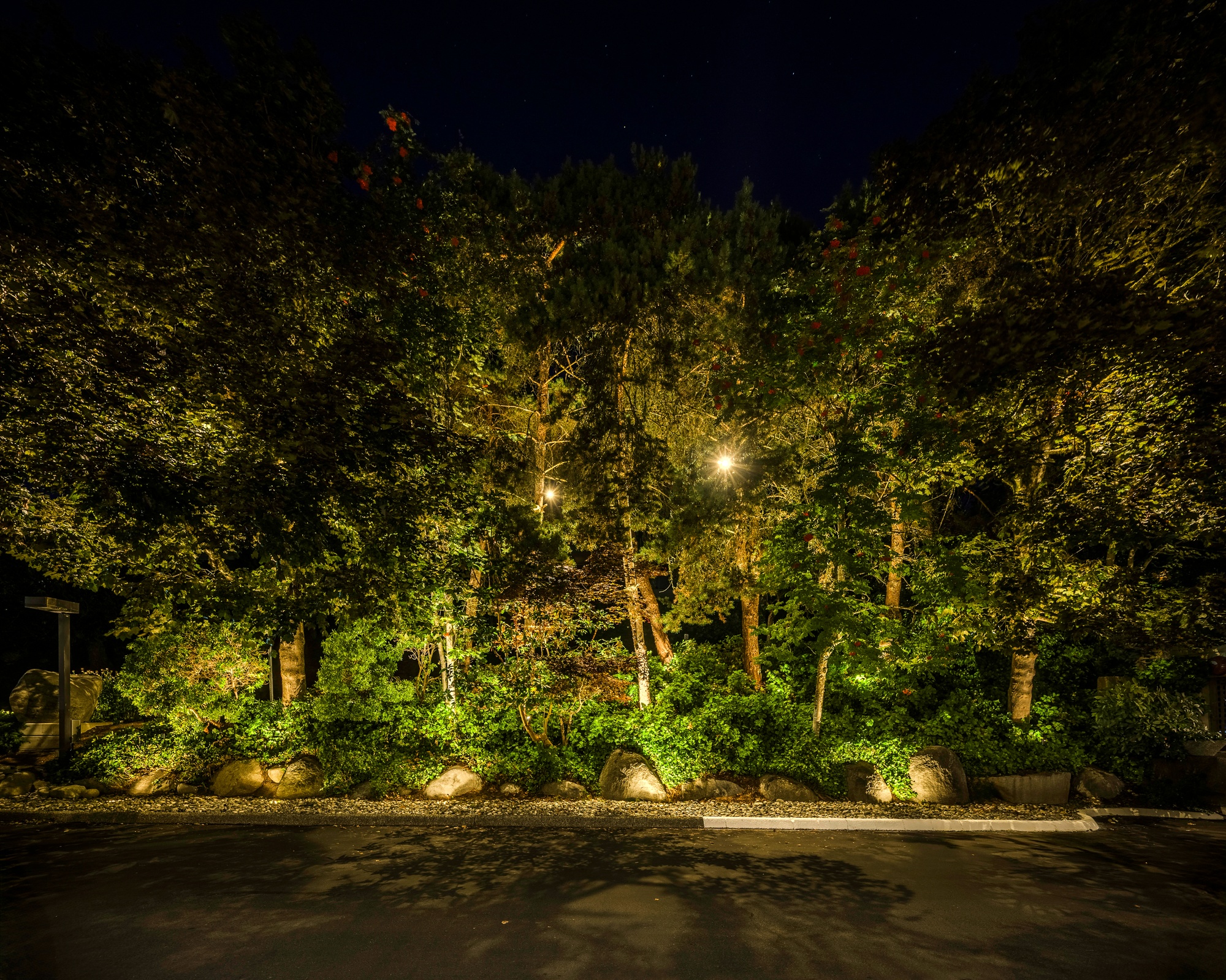 After - Strata Sign & Rock Wall Lighting – Common Area, Maple Ridge