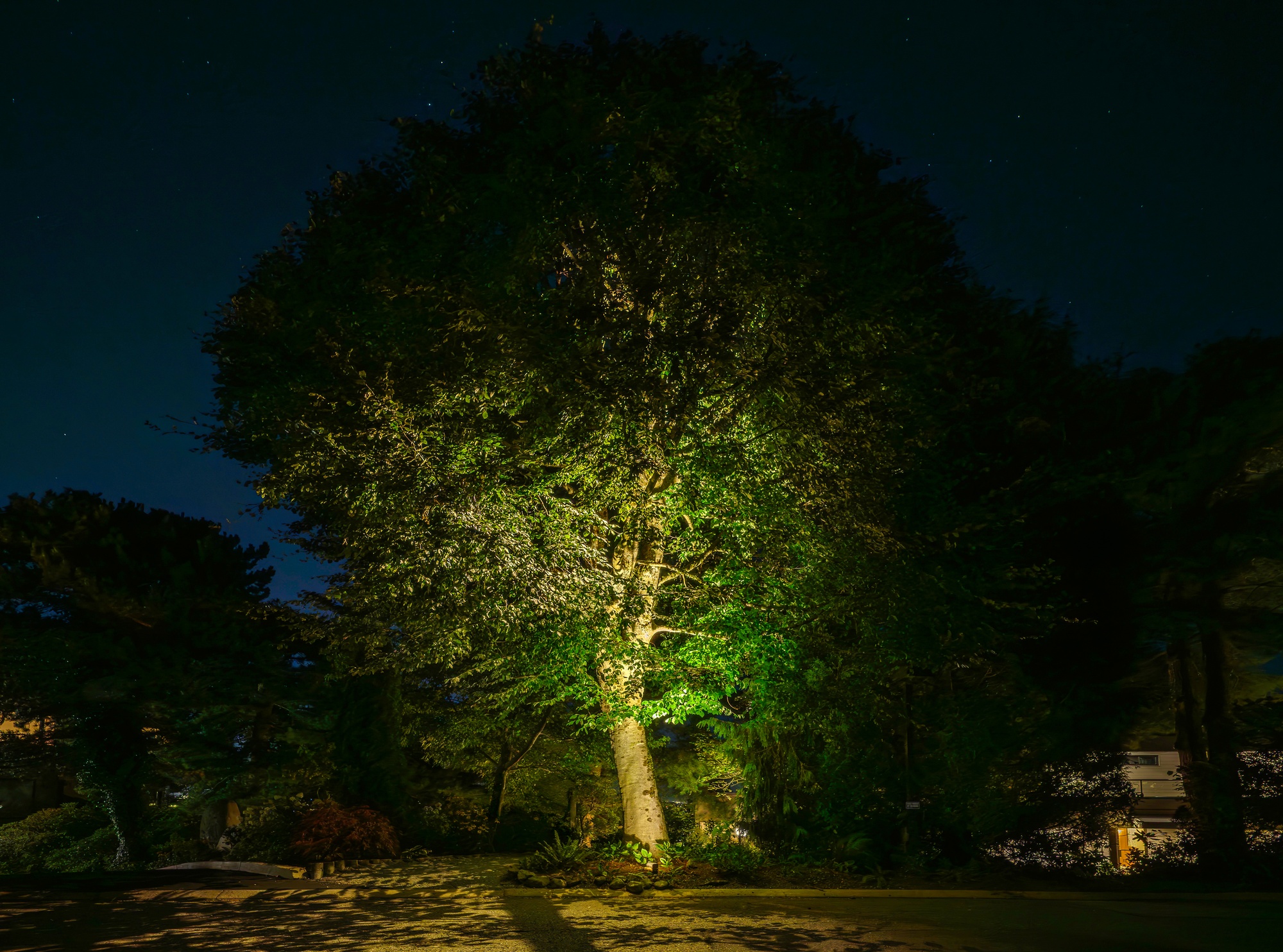 After - Strata Sign & Rock Wall Lighting – Common Area, Maple Ridge