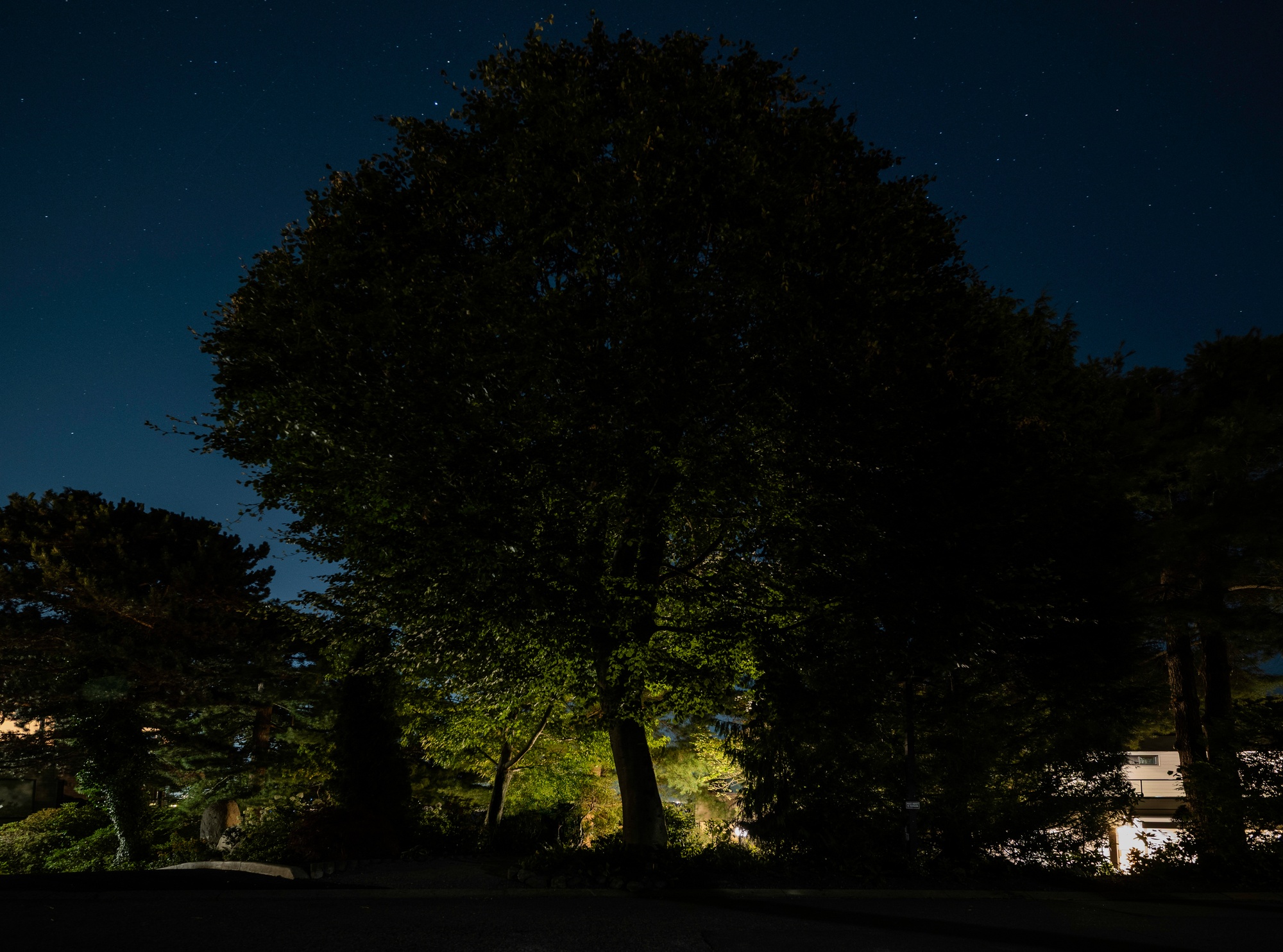 Before - Strata Sign & Rock Wall Lighting – Common Area, Maple Ridge