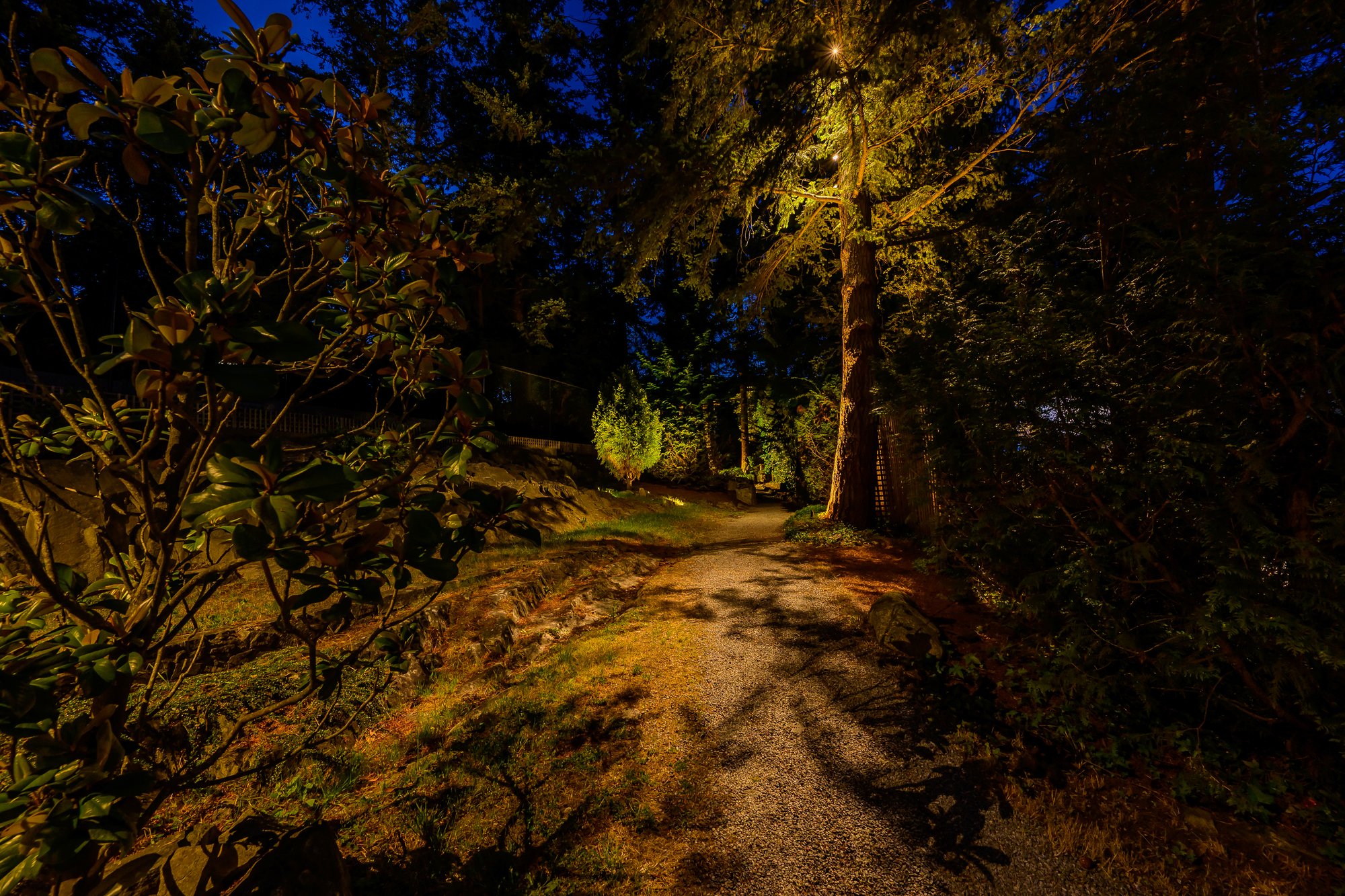 Eagle Island Waterfront Landscape Lighting Project - BBL   Egle Island 2026 13
