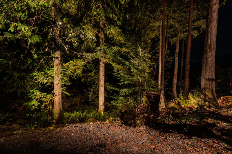 Dark Sky Estate Lighting & Tree Moonlighting – Goat Ridge, Britannia Beach - IMG 4925