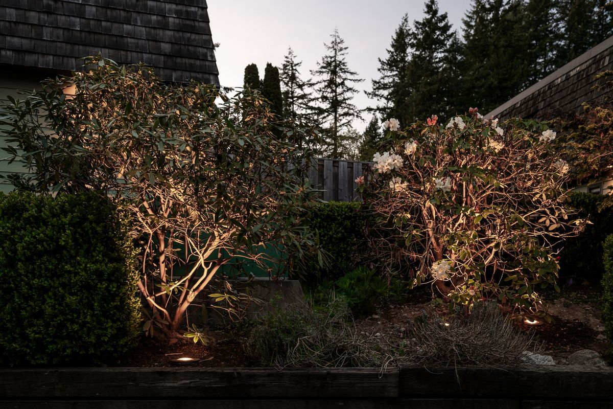 Lynnmour Valley Strata Landscape Lighting Project - DSC3795