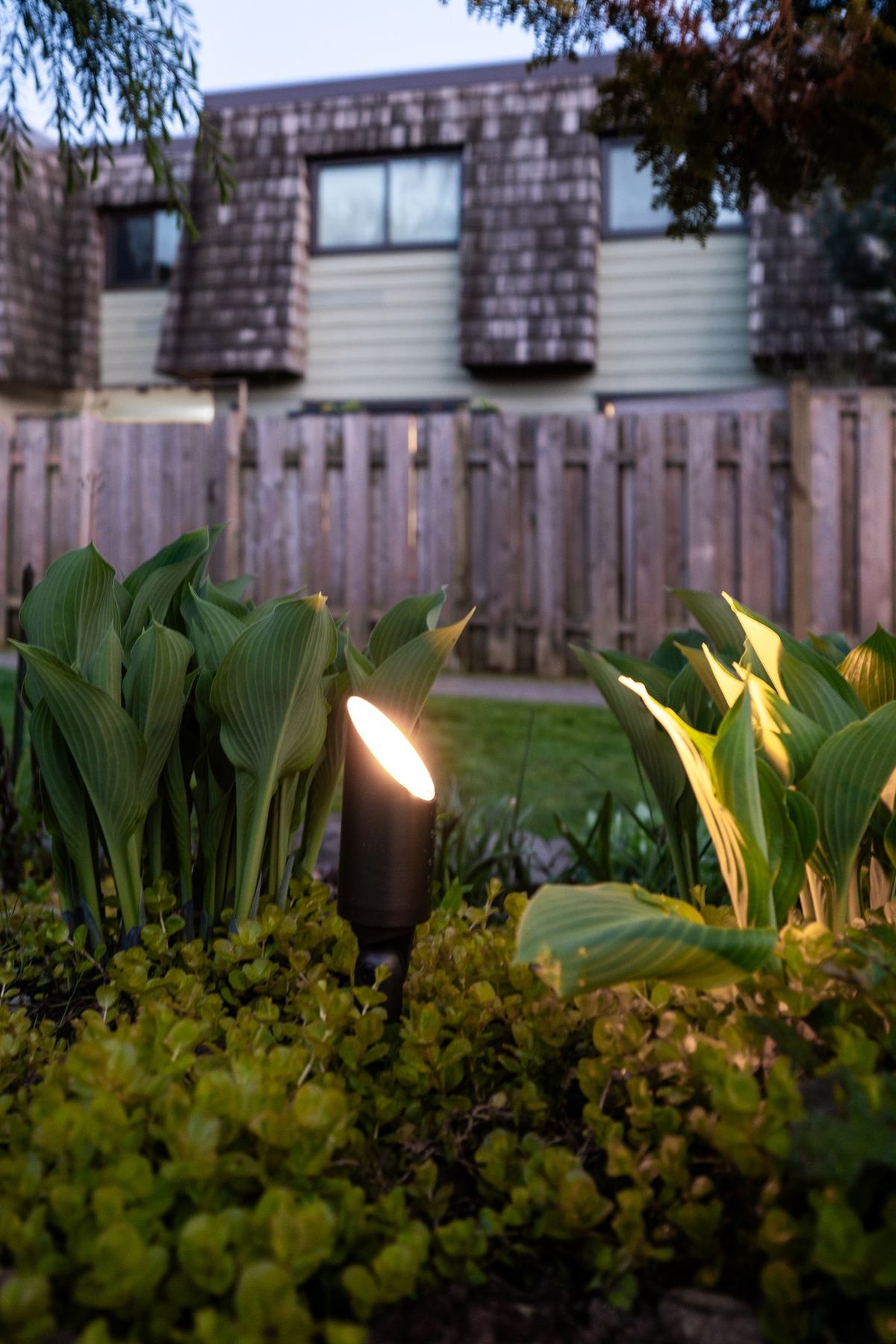Lynnmour Valley Strata Landscape Lighting Project - DSC3813
