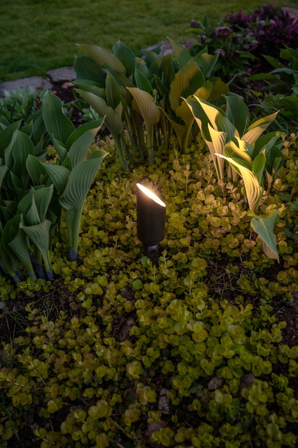 Lynnmour Valley Strata Landscape Lighting Project - DSC3815