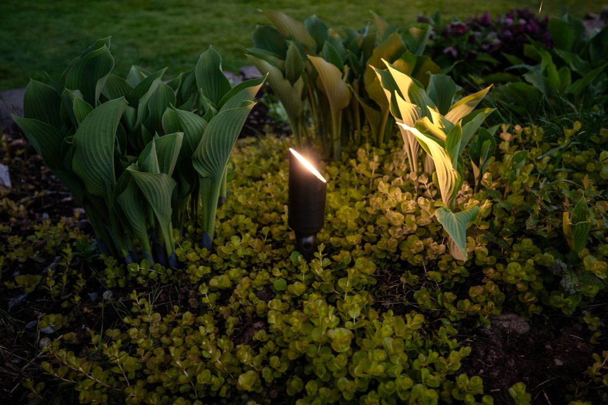 West Coast Garden Lighting in Garden Accent Lights
