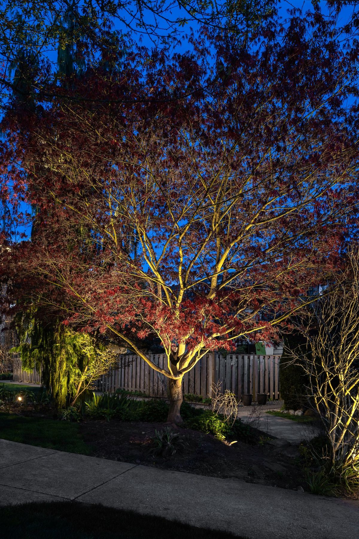 Lynnmour Valley Strata Landscape Lighting Project - Innovative Mounting & Quality