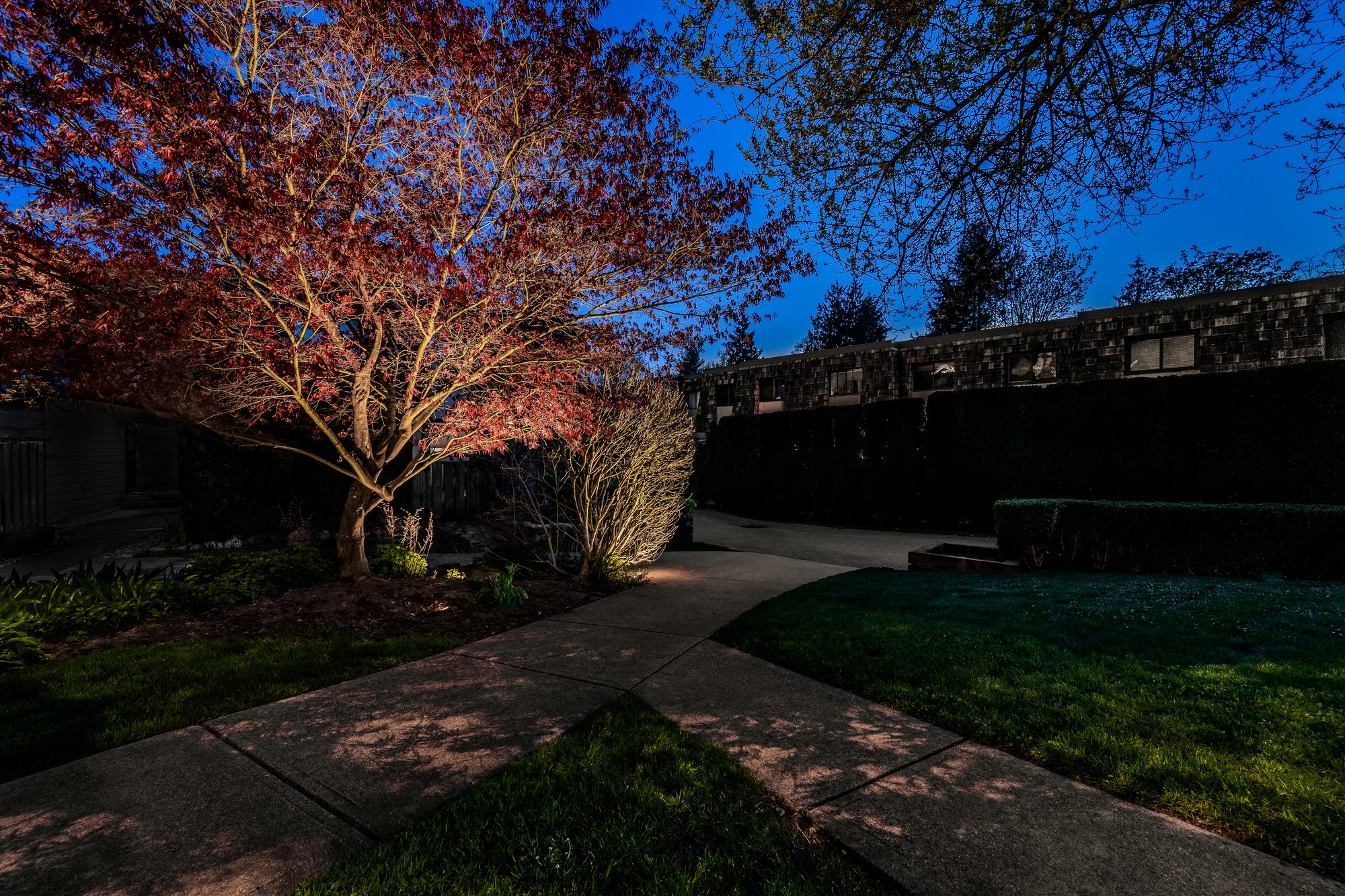 Architectural and safety lighting