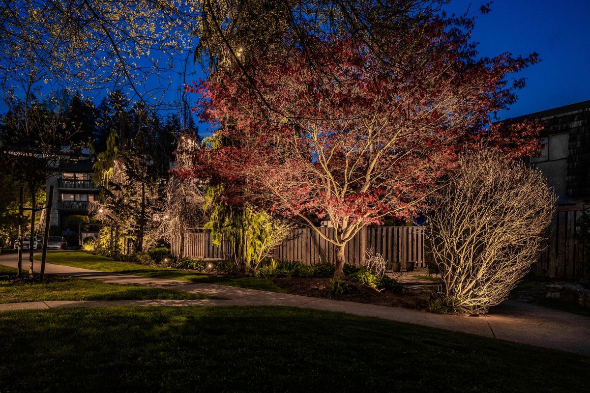 Lynnmour Valley Strata Landscape Lighting Project - Project Goals & Challenges