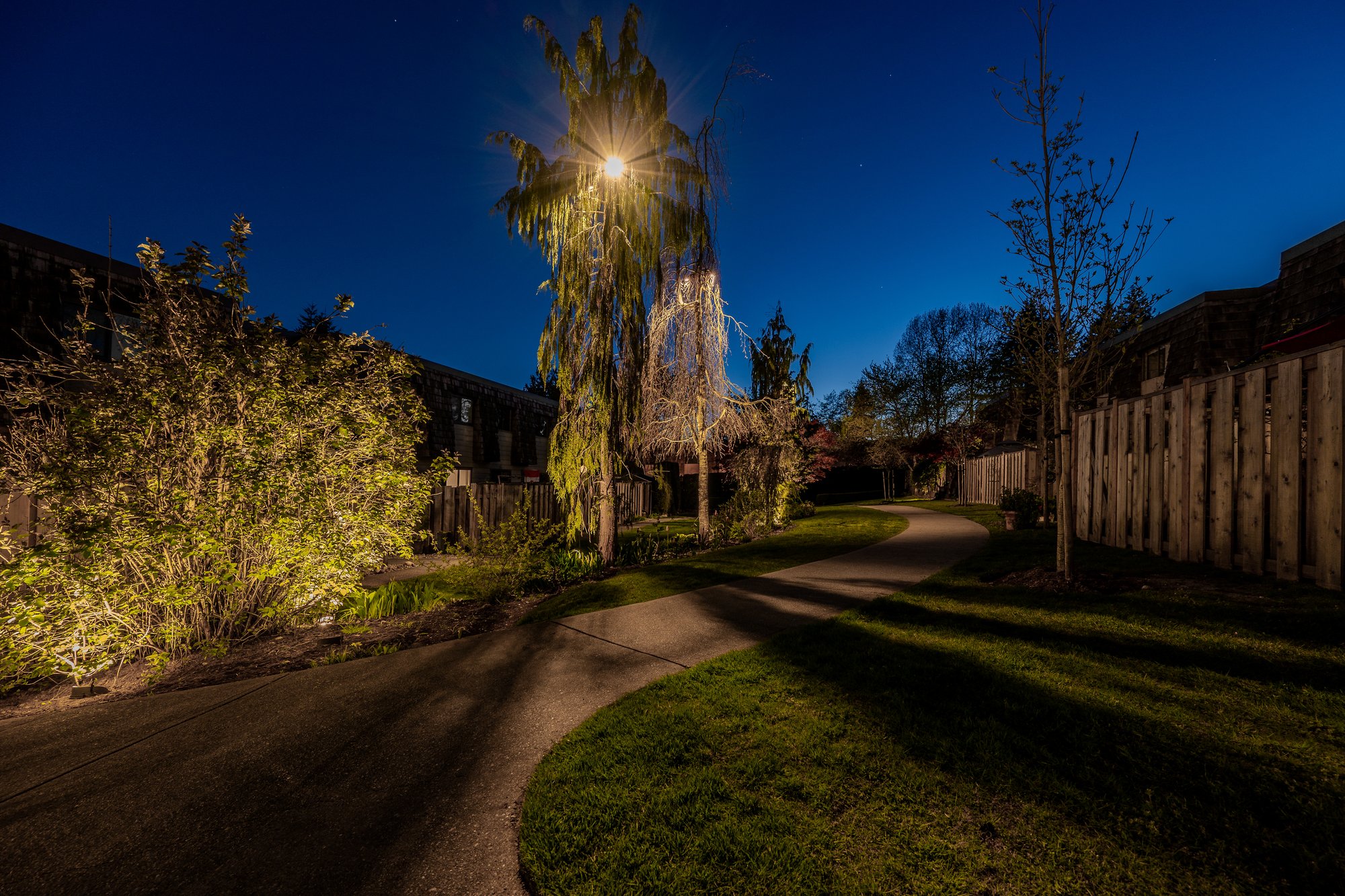Landscape feature lighting
