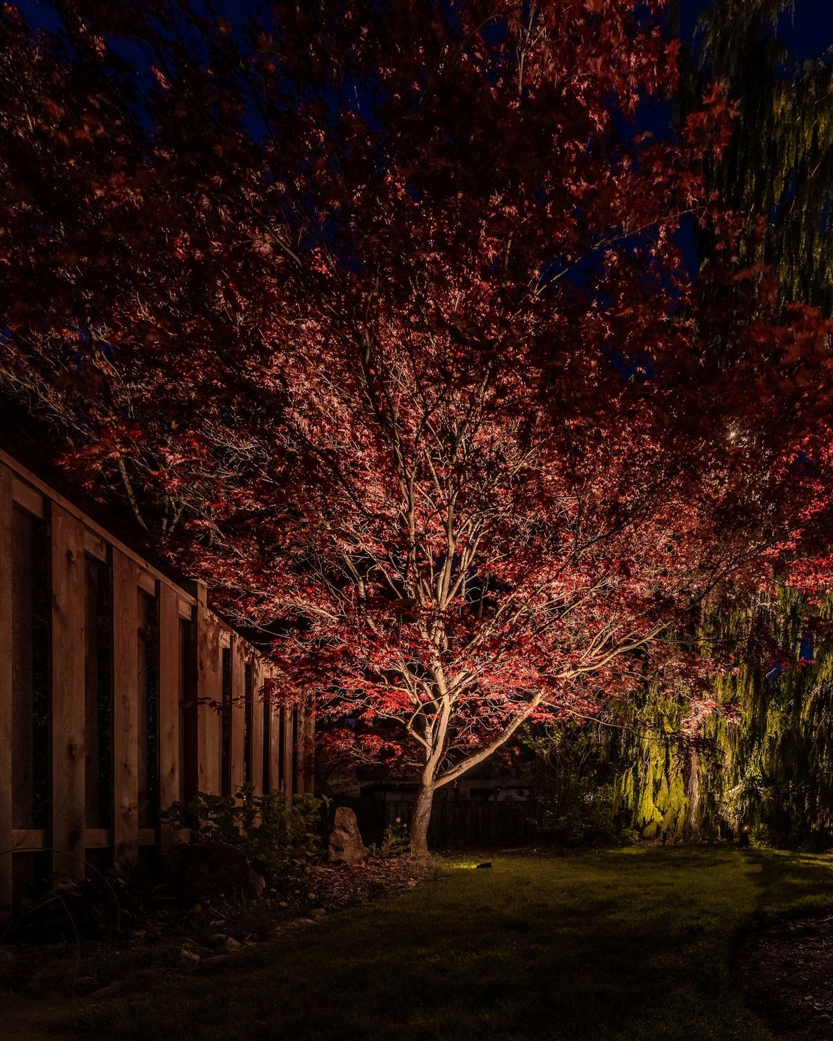 Lynnmour Valley Strata Landscape Lighting Project