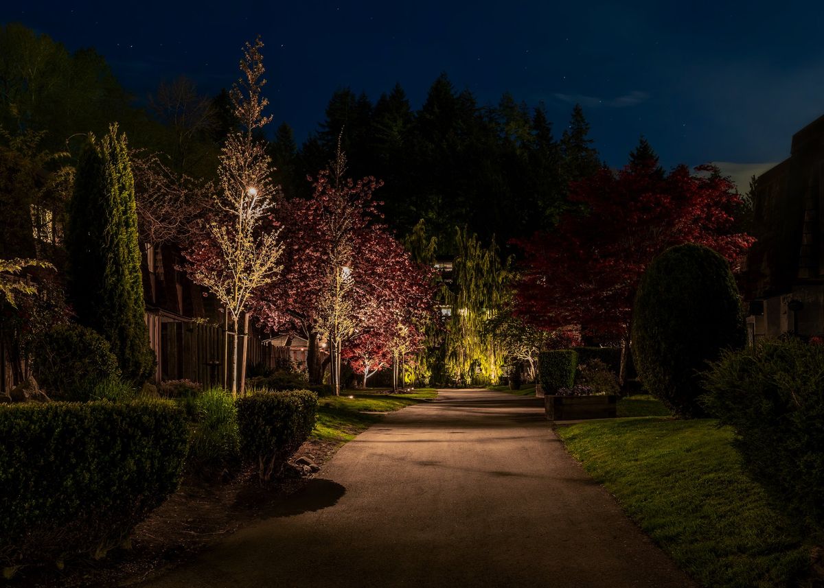 Lynnmour Valley Strata Landscape Lighting Project - Resident Experience