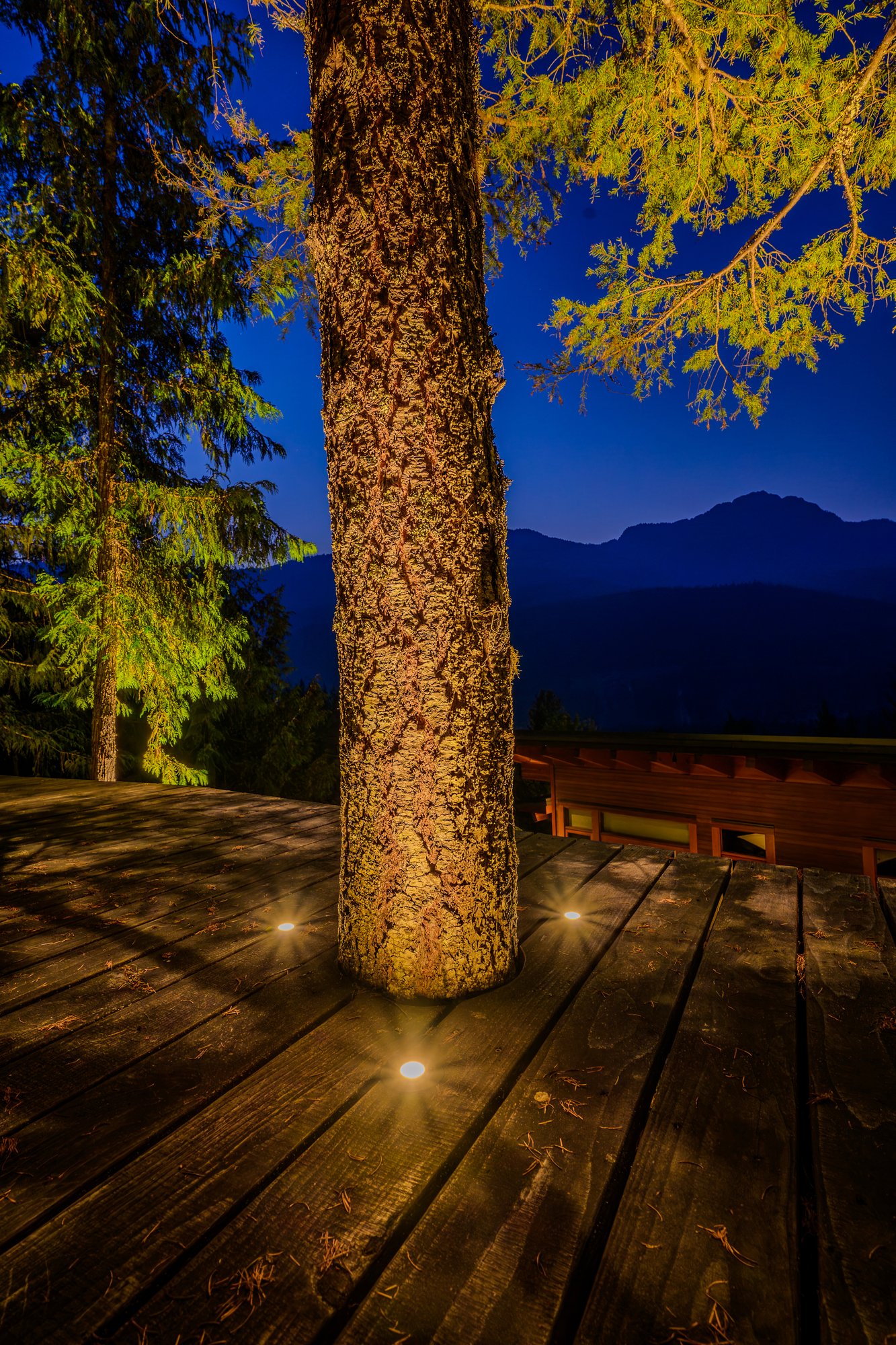 Whistler Landscape Lighting for a Mountainside Home - BLL Khyber Lane 12