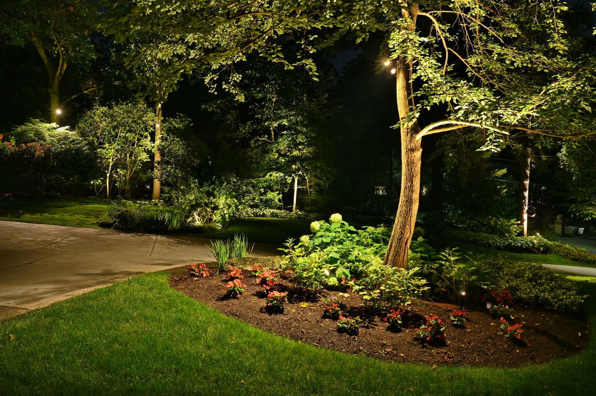 Professional Techniques in Garden Accent Lights