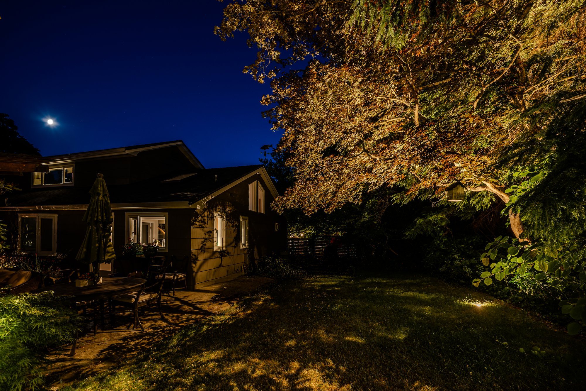 Tree Uplighting & BBQ Area Lighting – Wellington Avenue, West Vancouver - Copy of Copy of borealandscapelighting July2025 15