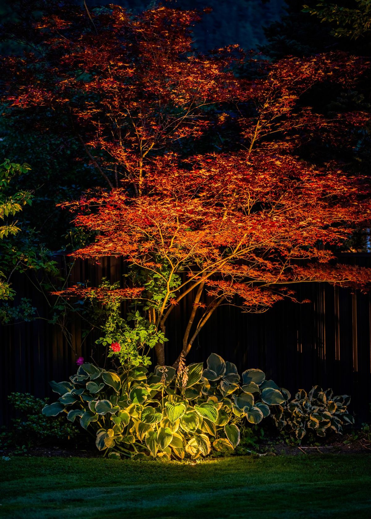 Westway Landscape Lighting Project – Squamish, BC