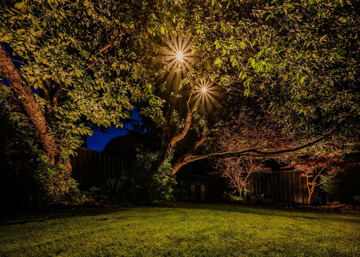 Westway Landscape Lighting Project – Squamish, BC - 10