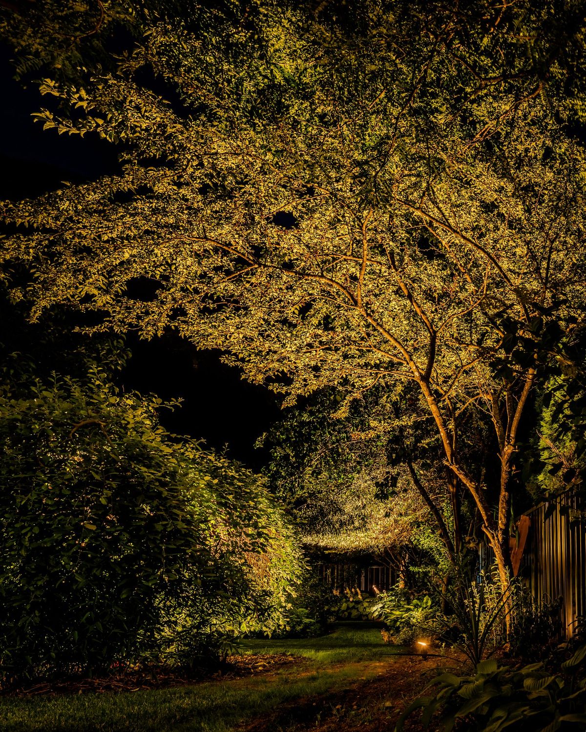 Westway Landscape Lighting Project – Squamish, BC - The Result – Beauty, Functionality & Entertainment