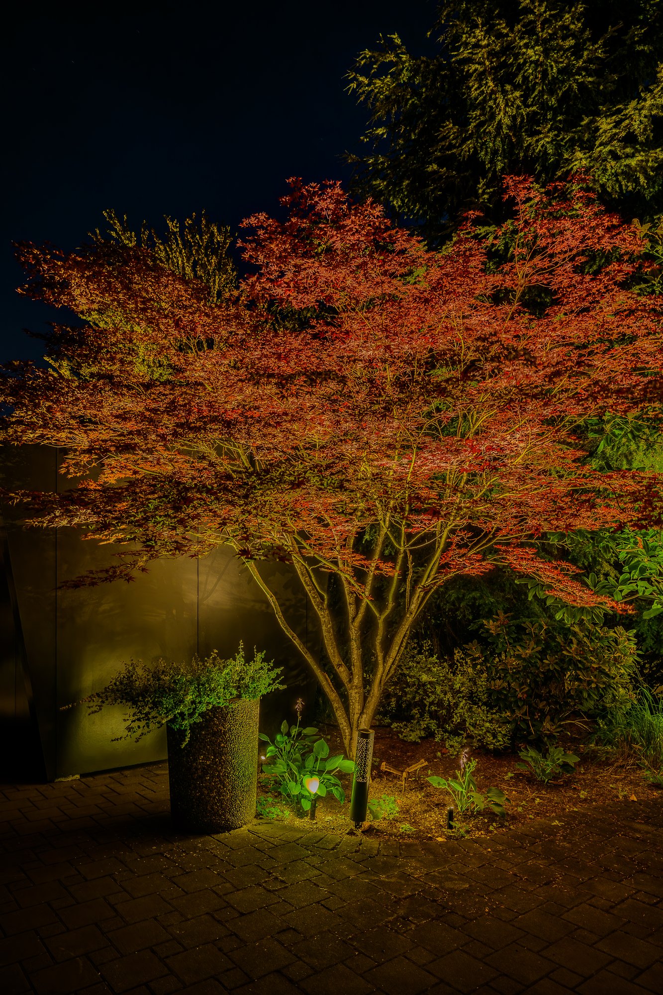 Landscape Lighting for a Squamish Backyard Retreat - Warm Lighting Throughout the Property