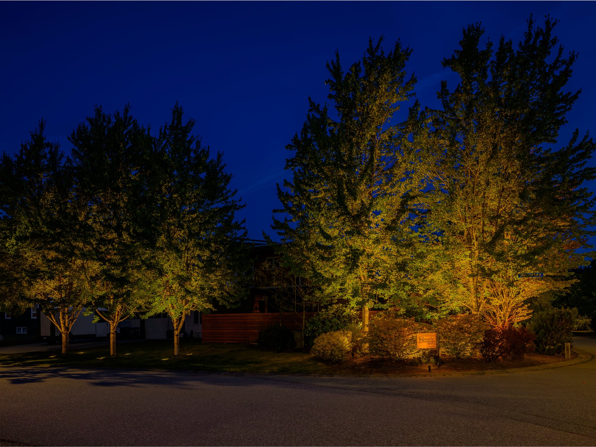 Landscape Lighting for a Squamish Backyard Retreat - BLL Winstanleys 3