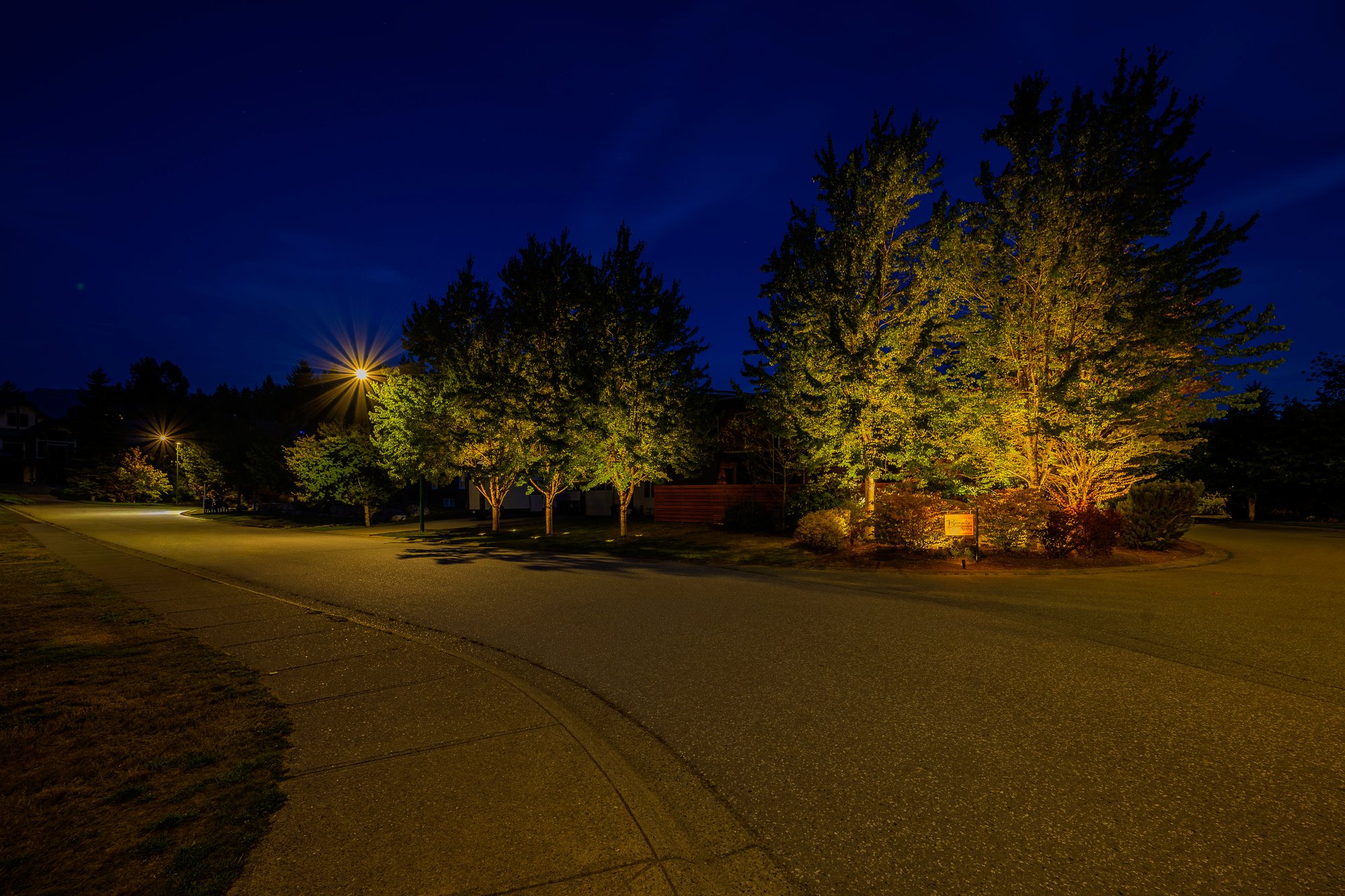 Landscape Lighting for a Squamish Backyard Retreat - BLL Winstanleys 4