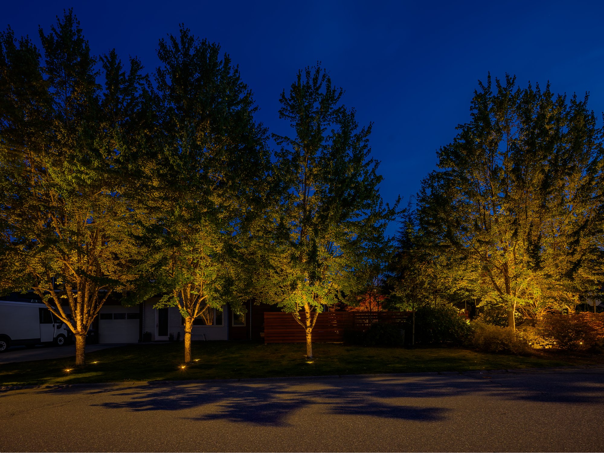Landscape Lighting for a Squamish Backyard Retreat - Moonlighting Along Roadways and Gardens
