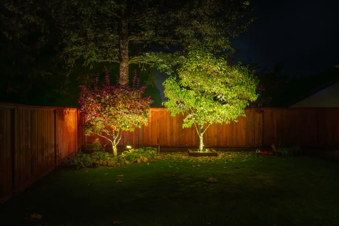 Professional Installation in Spotlights / Uplights