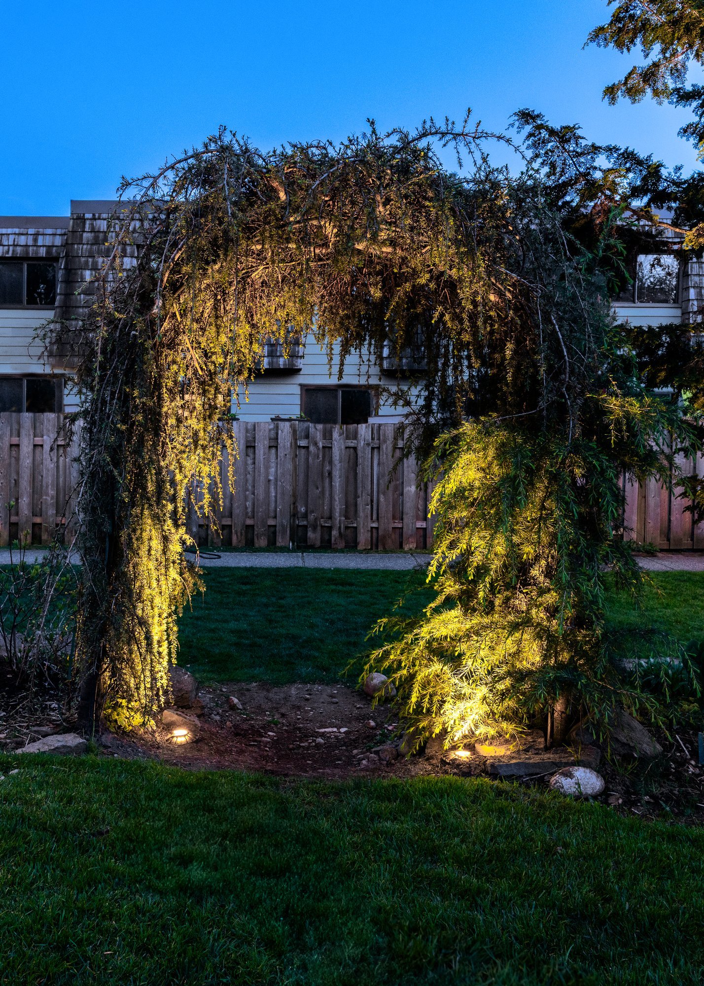 Comprehensive low voltage lighting design with conduit-protected wiring for long-term durability