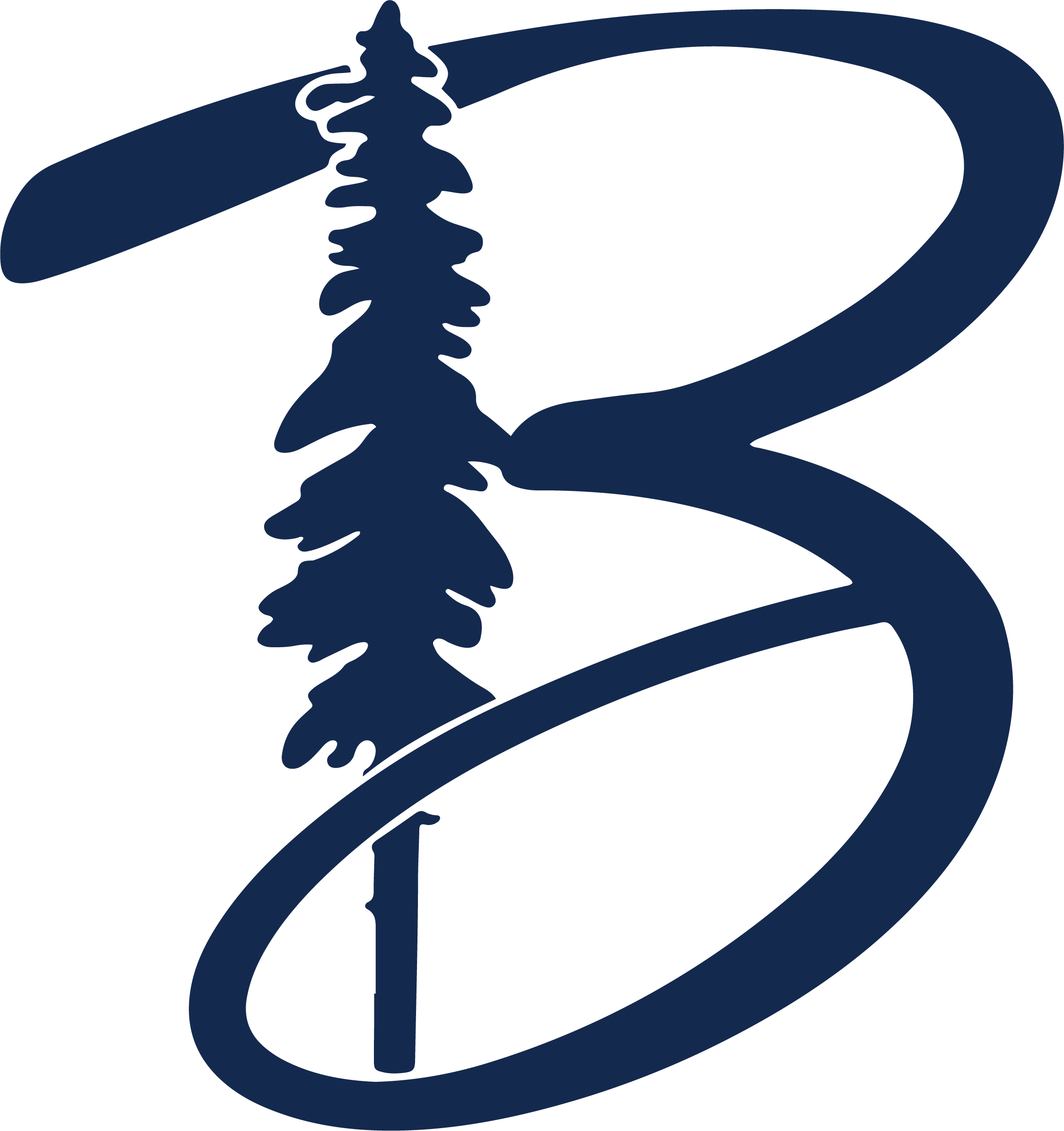 Borealis Landscape Lighting Brandmark