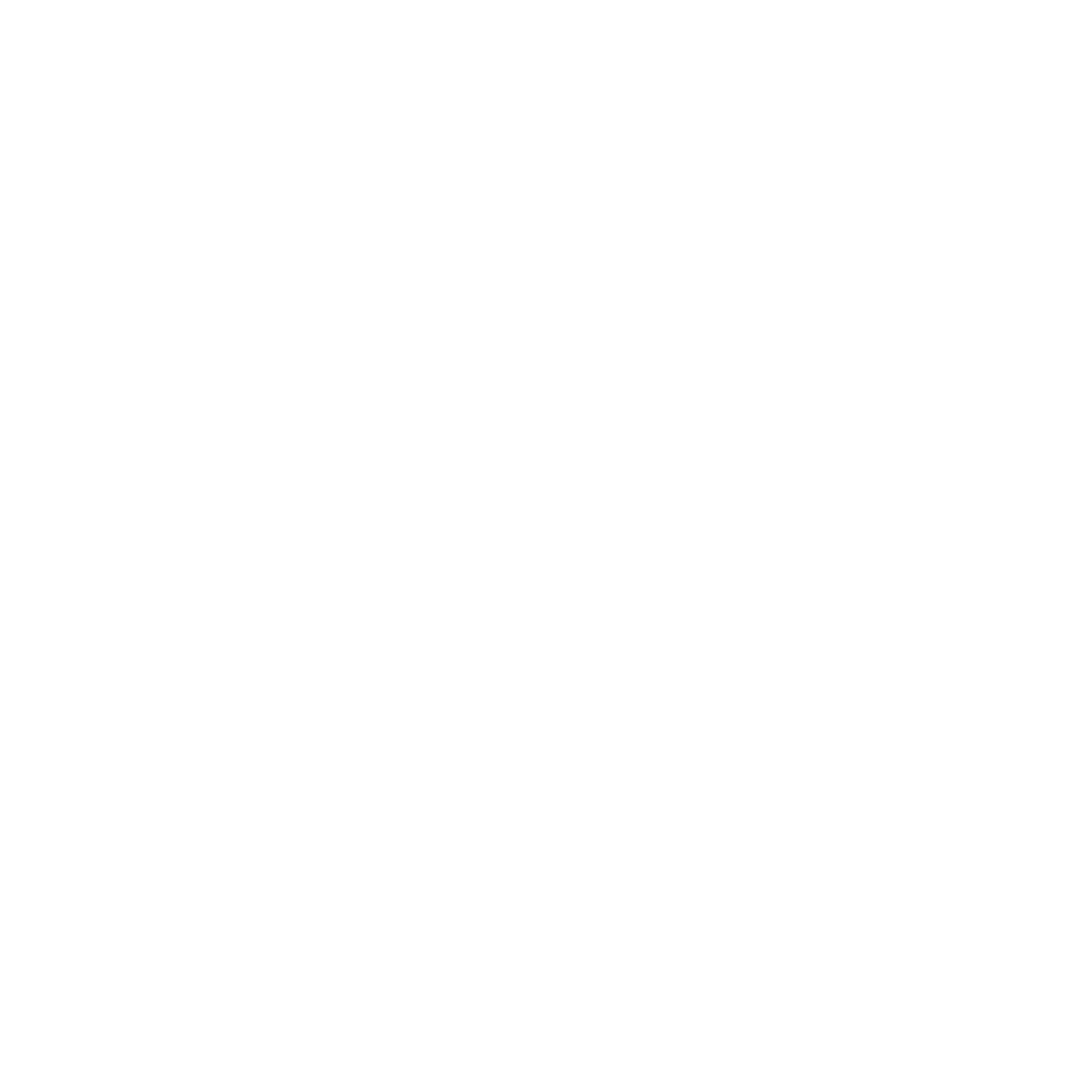 Borealis Landscape Lighting Logo