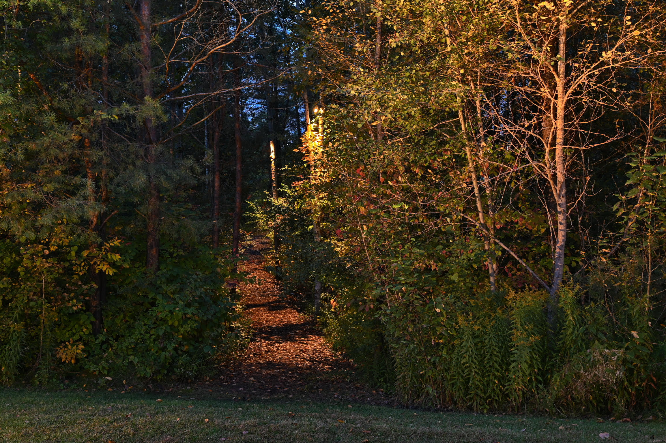 Safety Meets Style in Path Lights / Walkway Lights